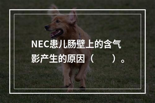 NEC患儿肠壁上的含气影产生的原因（　　）。