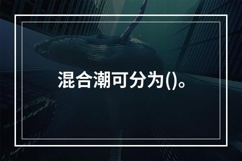 混合潮可分为()。