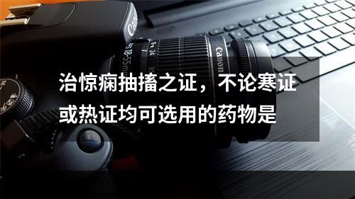 治惊痫抽搐之证，不论寒证或热证均可选用的药物是