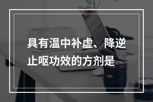 具有温中补虚、降逆止呕功效的方剂是