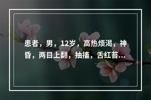 患者，男，12岁，高热烦渴，神昏，两目上翻，抽搐，舌红苔黄，