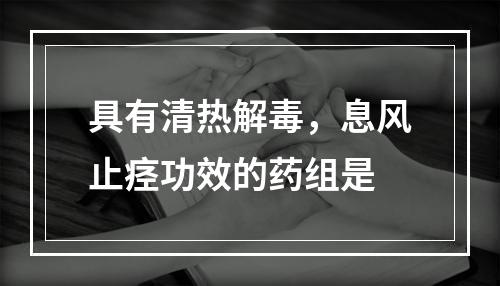 具有清热解毒，息风止痉功效的药组是