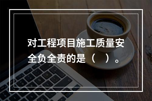 对工程项目施工质量安全负全责的是（　）。