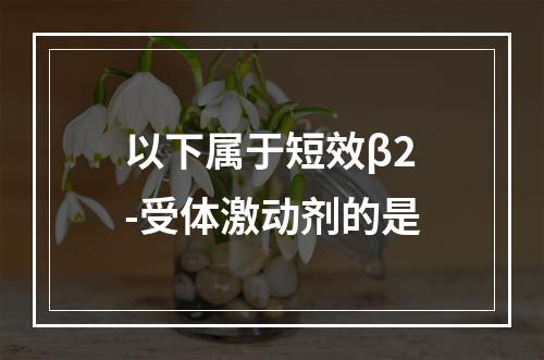 以下属于短效β2-受体激动剂的是