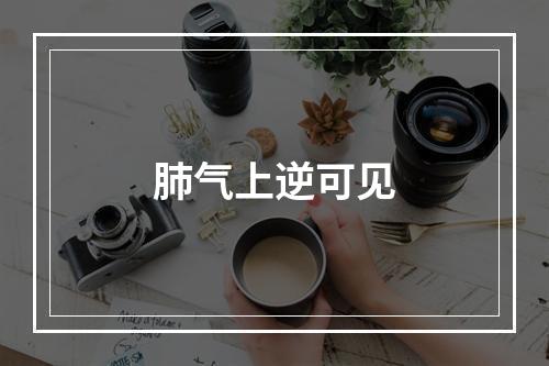 肺气上逆可见