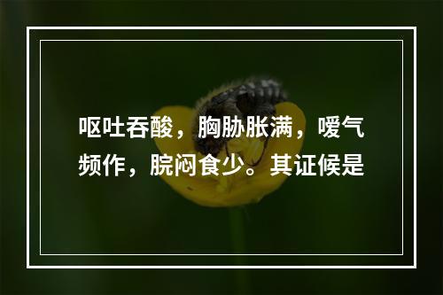 呕吐吞酸，胸胁胀满，嗳气频作，脘闷食少。其证候是