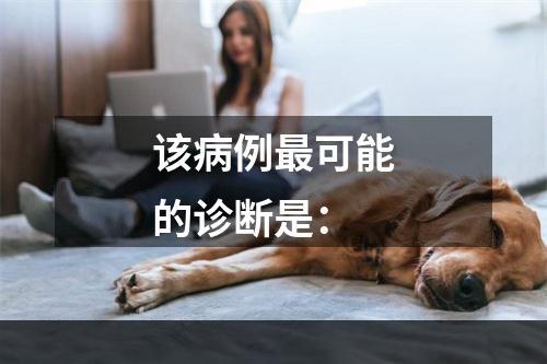 该病例最可能的诊断是：