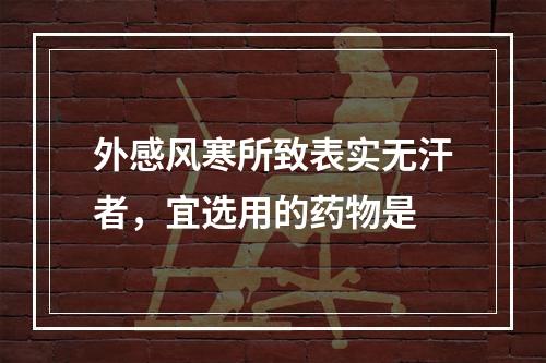 外感风寒所致表实无汗者，宜选用的药物是