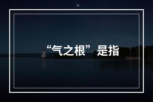 “气之根”是指