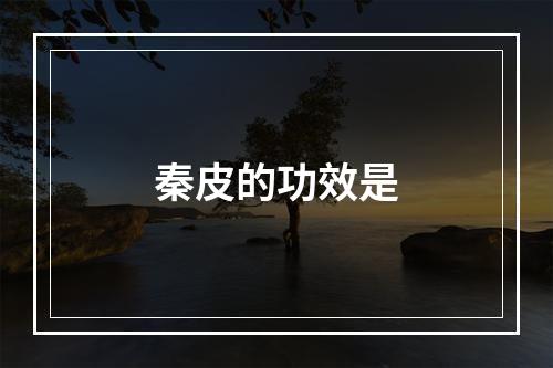 秦皮的功效是