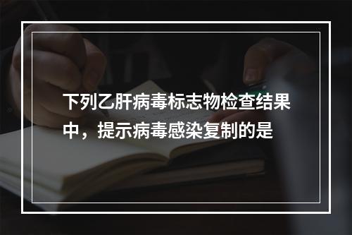 下列乙肝病毒标志物检查结果中，提示病毒感染复制的是