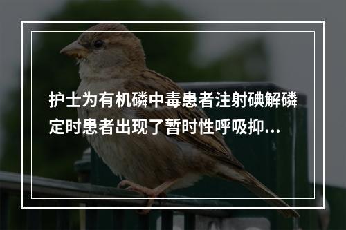 护士为有机磷中毒患者注射碘解磷定时患者出现了暂时性呼吸抑制，