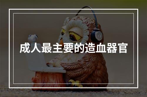 成人最主要的造血器官