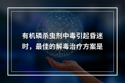 有机磷杀虫剂中毒引起昏迷时，最佳的解毒治疗方案是