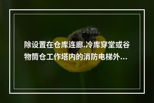 除设置在仓库连廊.冷库穿堂或谷物筒仓工作塔内的消防电梯外，消