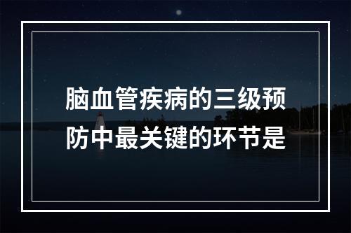 脑血管疾病的三级预防中最关键的环节是