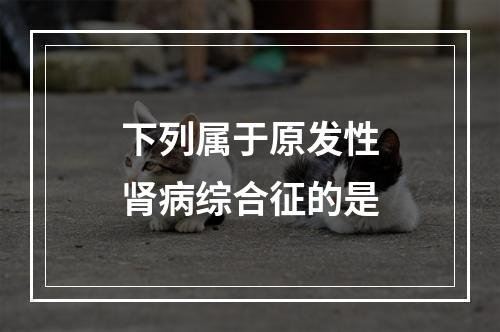 下列属于原发性肾病综合征的是