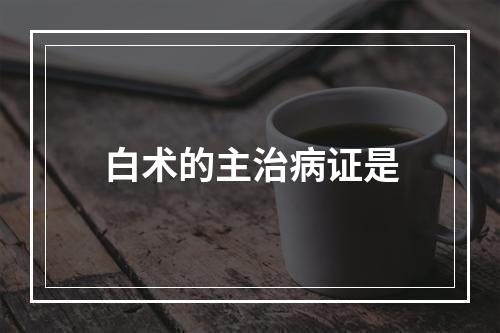 白术的主治病证是