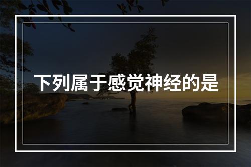 下列属于感觉神经的是