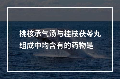 桃核承气汤与桂枝茯苓丸组成中均含有的药物是