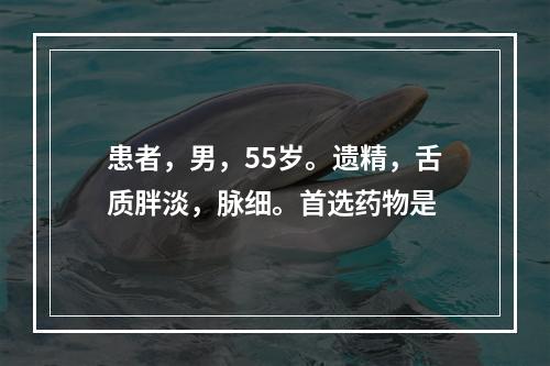 患者，男，55岁。遗精，舌质胖淡，脉细。首选药物是