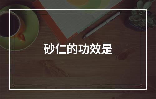 砂仁的功效是