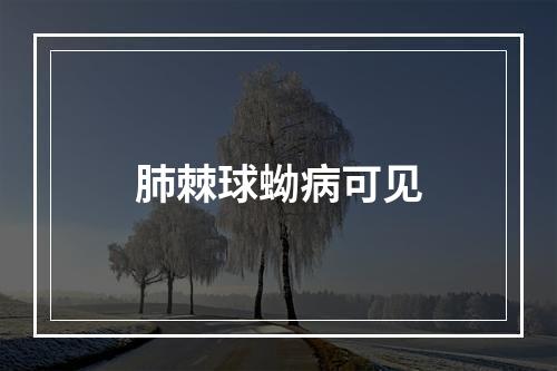 肺棘球蚴病可见