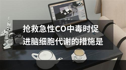 抢救急性CO中毒时促进脑细胞代谢的措施是