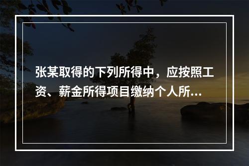 张某取得的下列所得中，应按照工资、薪金所得项目缴纳个人所得税