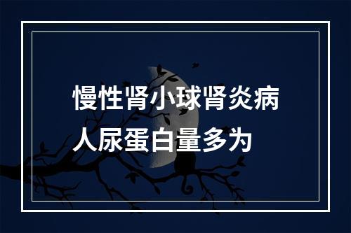 慢性肾小球肾炎病人尿蛋白量多为