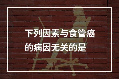 下列因素与食管癌的病因无关的是