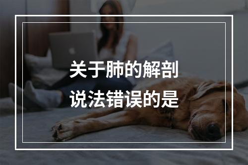 关于肺的解剖说法错误的是