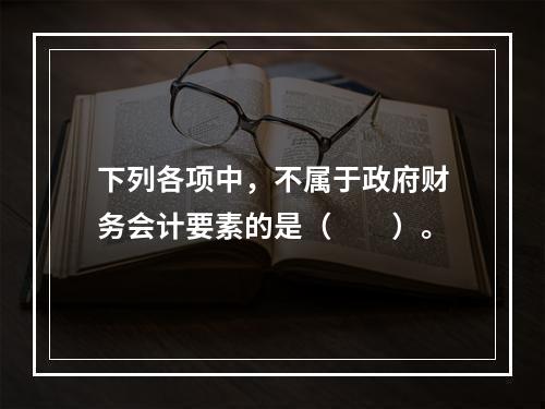 下列各项中，不属于政府财务会计要素的是（　　）。