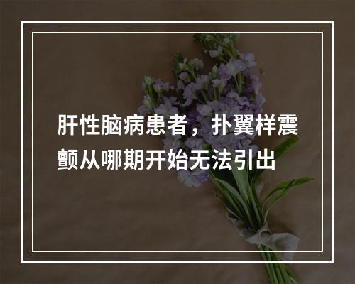 肝性脑病患者，扑翼样震颤从哪期开始无法引出