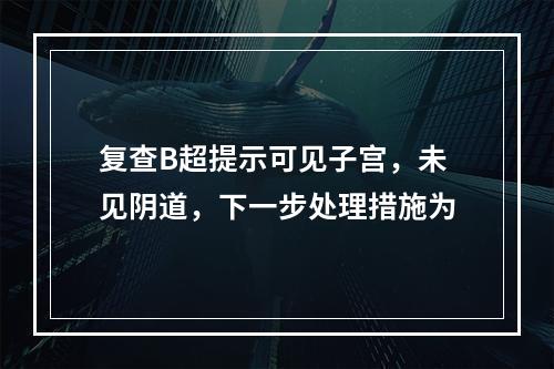 复查B超提示可见子宫，未见阴道，下一步处理措施为