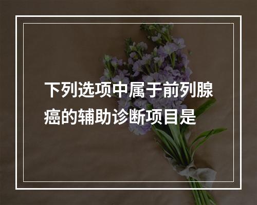 下列选项中属于前列腺癌的辅助诊断项目是