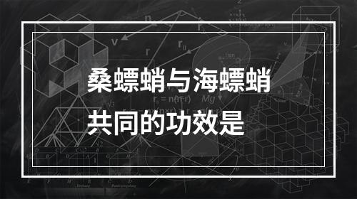 桑螵蛸与海螵蛸共同的功效是