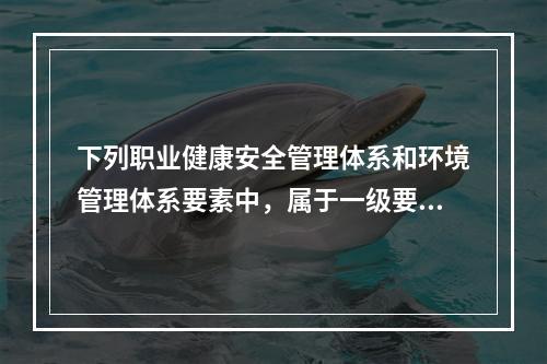 下列职业健康安全管理体系和环境管理体系要素中，属于一级要素的