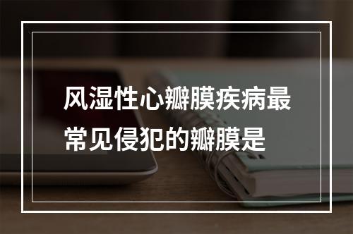 风湿性心瓣膜疾病最常见侵犯的瓣膜是