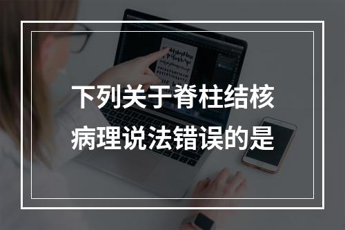 下列关于脊柱结核病理说法错误的是