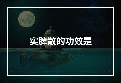 实脾散的功效是