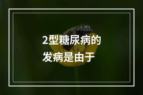 2型糖尿病的发病是由于