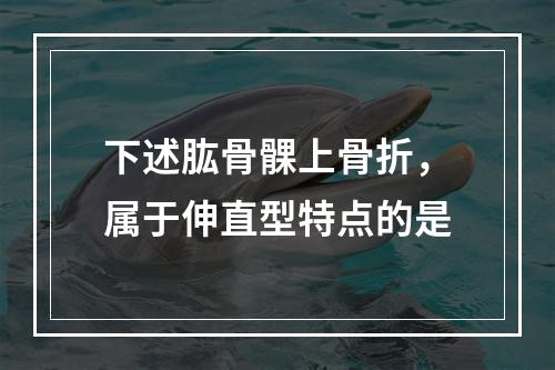 下述肱骨髁上骨折，属于伸直型特点的是