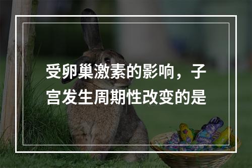 受卵巢激素的影响，子宫发生周期性改变的是