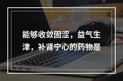 能够收敛固涩，益气生津，补肾宁心的药物是