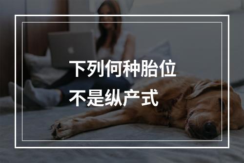 下列何种胎位不是纵产式