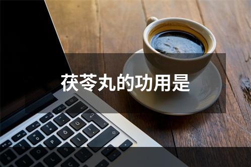 茯苓丸的功用是