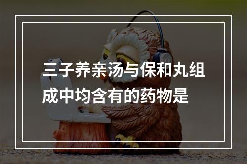 三子养亲汤与保和丸组成中均含有的药物是