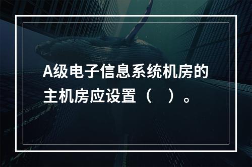 A级电子信息系统机房的主机房应设置（　）。