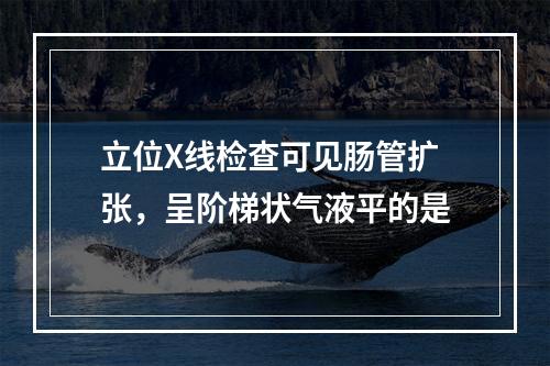 立位X线检查可见肠管扩张，呈阶梯状气液平的是